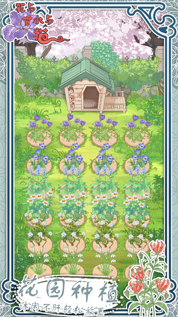 花与香水与猫2023最新版下载