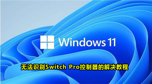 Win11无法识别Switch  Pro控制器的解决教程
