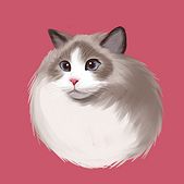 壁纸库正版免费下载安装