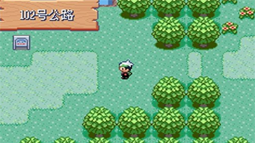 口袋妖怪究极绿宝石5.4下载下载2023版本