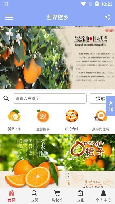 世界橙乡手机苹果下载