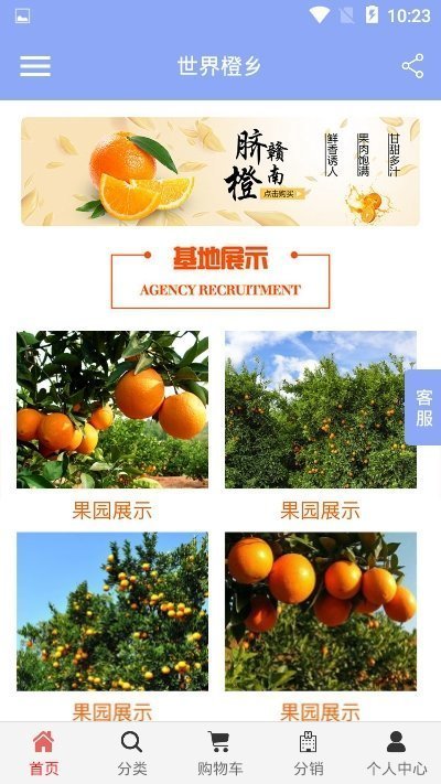 世界橙乡手机苹果下载