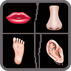 疯狂模拟器苹果版下载安装