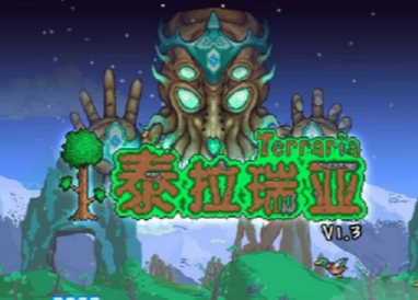 泰拉瑞亚服装商巫娃娃的作用