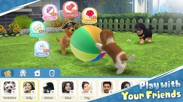 梦幻小狗手机版下载