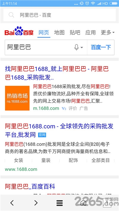 vip浏览器免费ios版