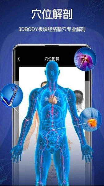 3d人体模型安卓版下载最新版