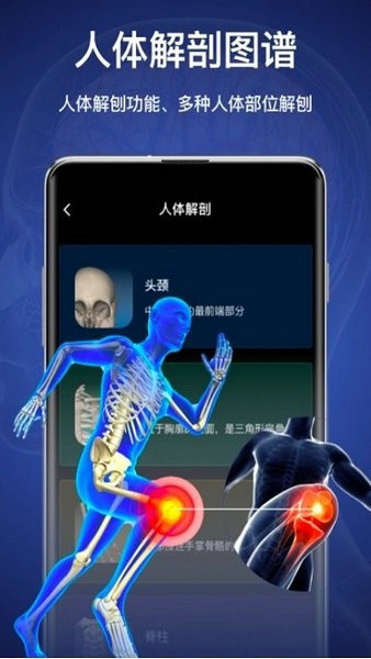 3d人体模型安卓版下载最新版