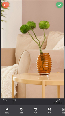 镜像相机下载安卓版本