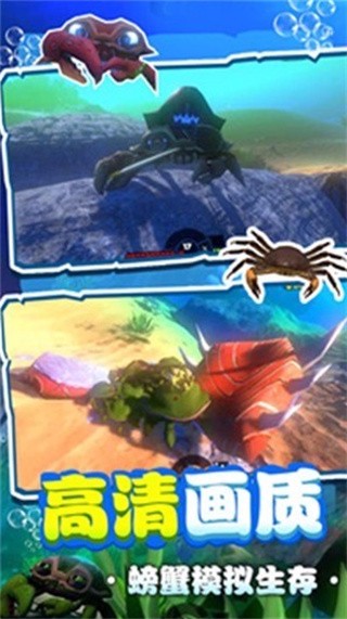 螃蟹生存模拟器