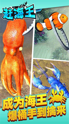 赶海王安卓下载2024