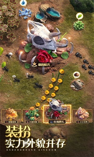 小小蚁国手游中文版下载安装最新版