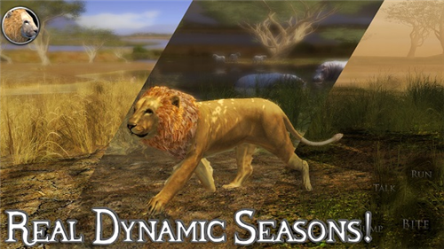 终极狮子模拟器安卓版下载安装