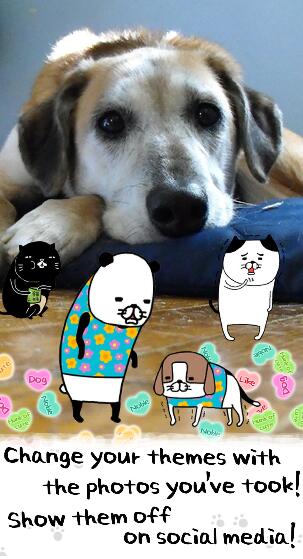 永远可爱的狗苹果版免费版