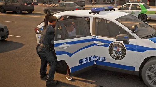 边境警察巡逻模拟器最新版本