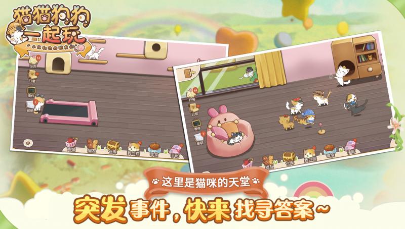 猫猫狗狗一起玩ios下载手机版