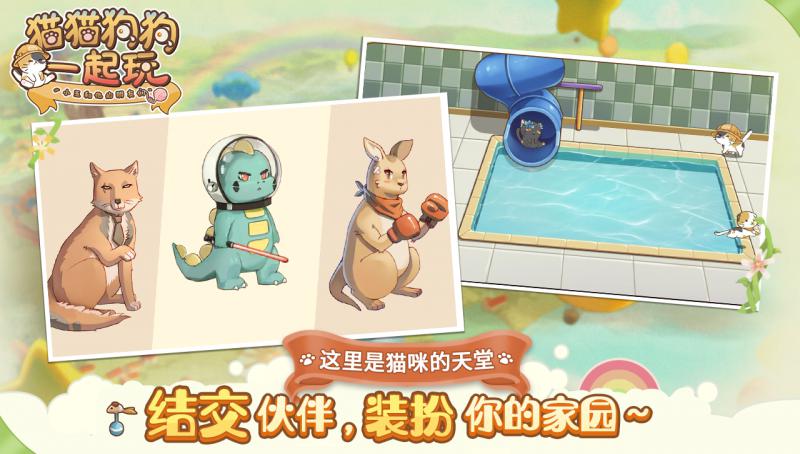 猫猫狗狗一起玩ios下载手机版