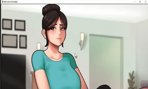 家务安卓v4.1汉化版