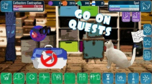 盯着鬼魂的猫最新2024下载