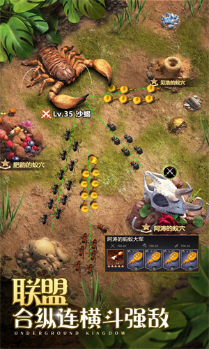 小小蚁国手机版下载免费安装苹果版