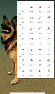 paint无限绘画软件安卓版