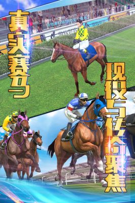 相马大师2024最新版本安卓版