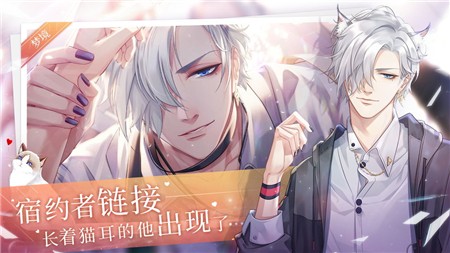 猫之宿约者ios下载手机版