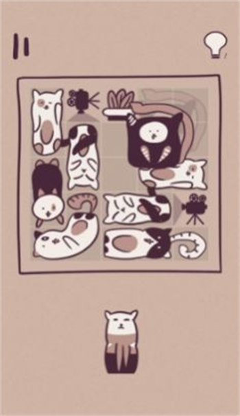 井然有猫最新版下载