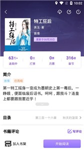 飞更小说APP免费ios下载