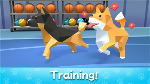 宠物大亨2024下载安装