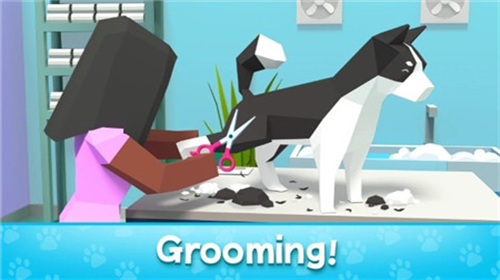 宠物大亨2024下载安装