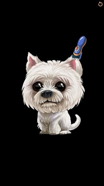 宠物理发师免费版苹果版