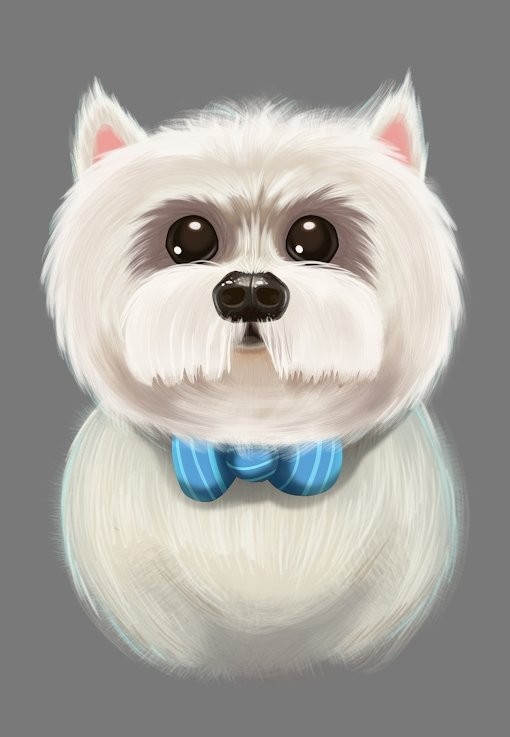 宠物理发师免费版苹果版