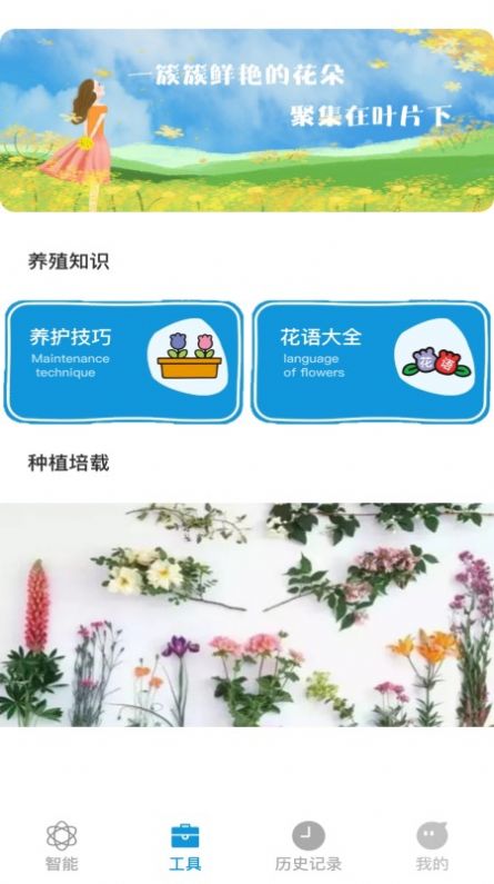 全能拍照识物苹果免费版