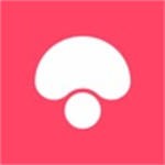 蘑菇街2024最新安卓版