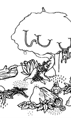 隐藏之人安卓版最新