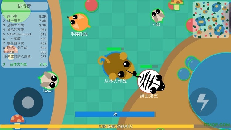 丛林大作战官方正式版