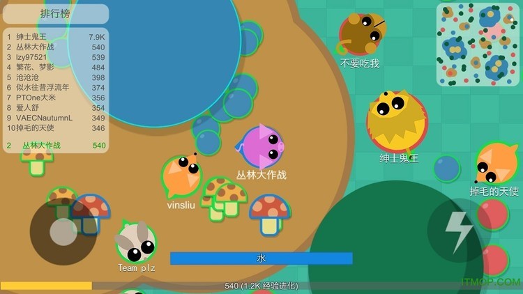 丛林大作战官方正式版