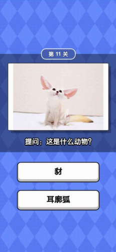 动物滑滑乐最新下载免费版