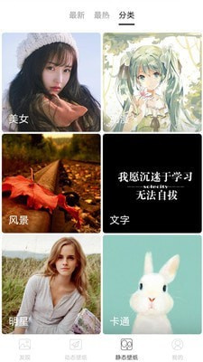 精选壁纸最新下载2024版