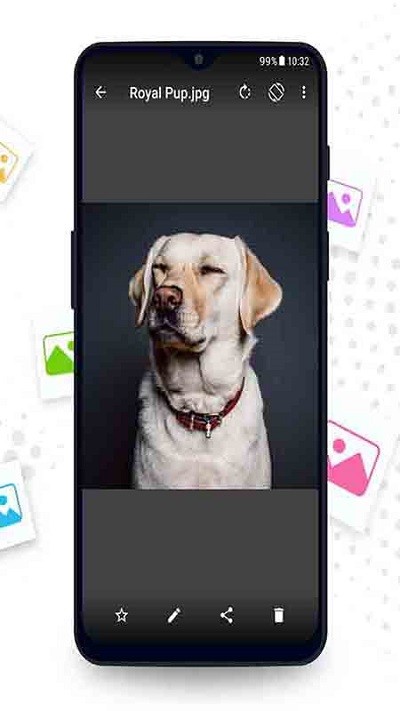 相册管理大师免费版