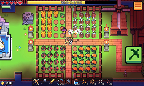 浮岛物语2024最新版本app安卓下载