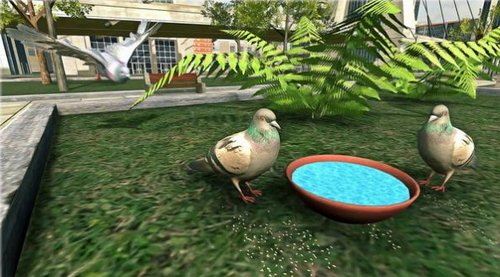 鸽子生存模拟最新安卓版本2024
