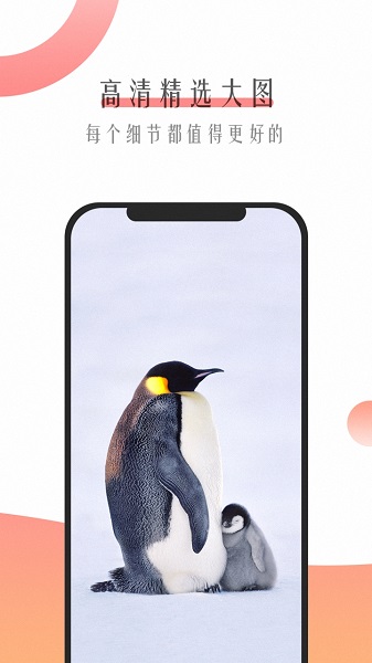 超美壁纸下载免费版