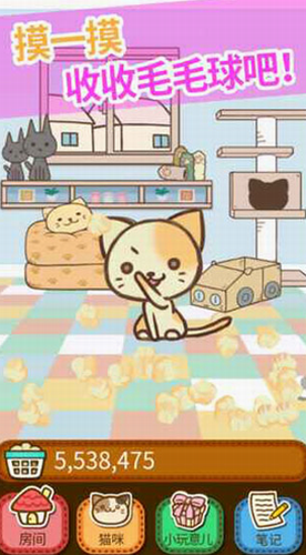 猫咪的毛最新版2024下载