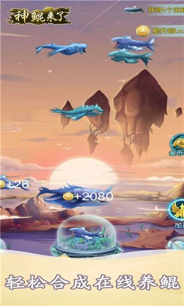 神鲲来了下载免费版本