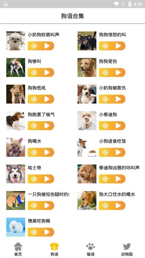 宠物翻译机ios版