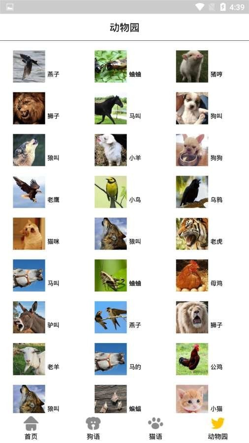 宠物翻译机ios版