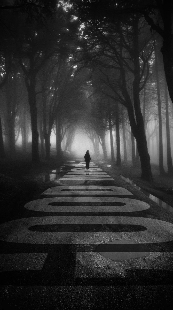 泪水与晚安下载