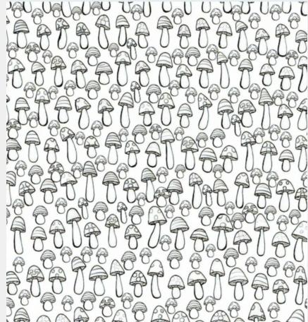 文字找茬大师找出20只爱笑的蘑菇攻略 找出20只爱笑的蘑菇怎么过